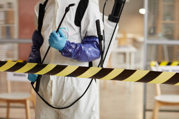 Professional Infectious Disease Decontamination technician working in Vallecito, CA