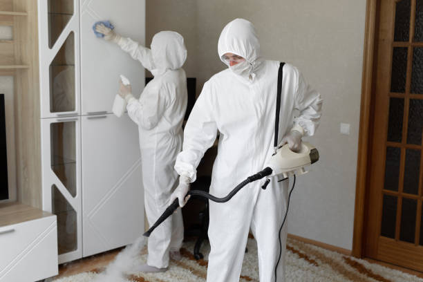 24/7 Emergency Infectious Disease Decontamination experts in Vallecito, CA