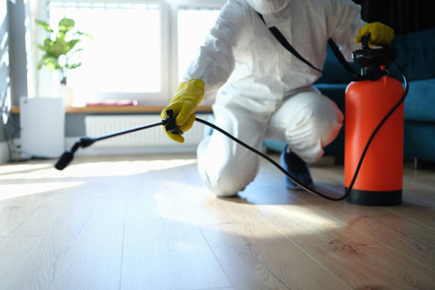 Reliable Infectious Disease Decontamination contractor in Vallecito, CA by Crime Scene Cleaner Online